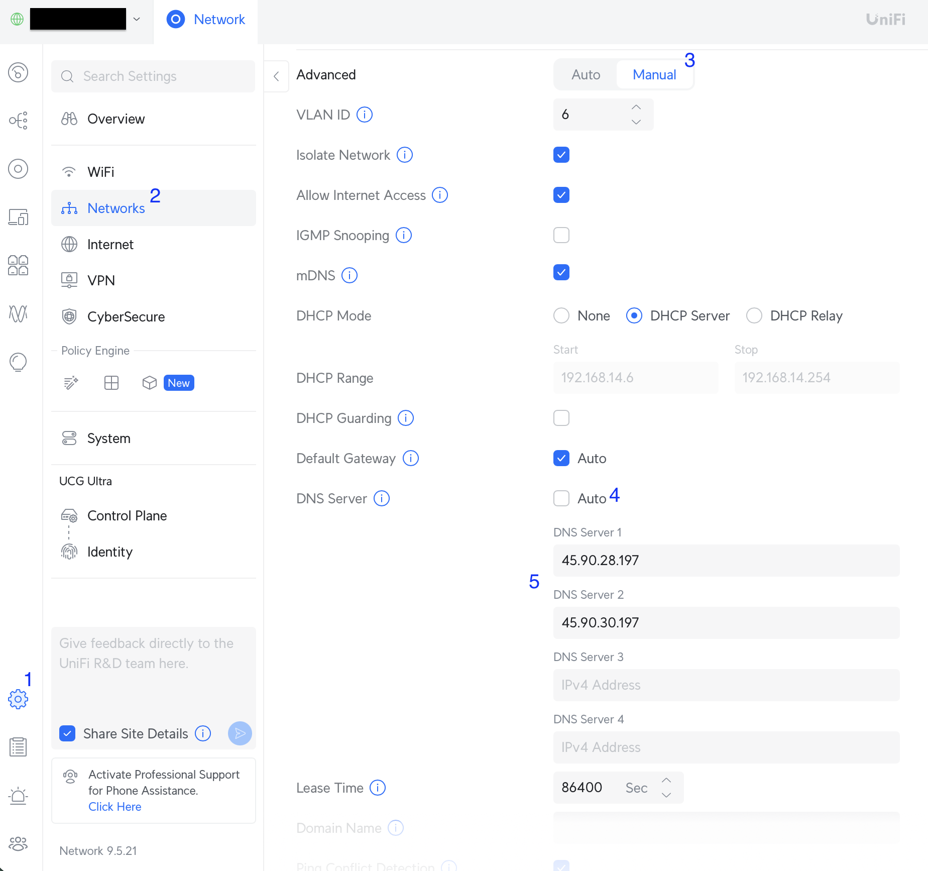 UniFi Custom DNS Configuration